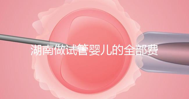 湖南做試管嬰兒的全部費用大概是多少錢？附湖南試管嬰兒醫院排名一覽！