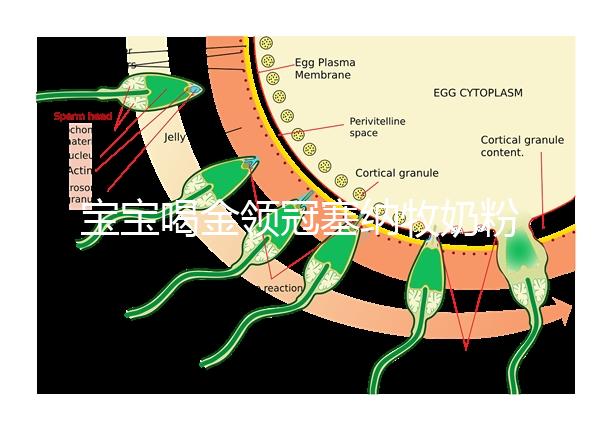 寶寶喝金領冠塞納牧奶粉后不長個，沖泡方法有大問題