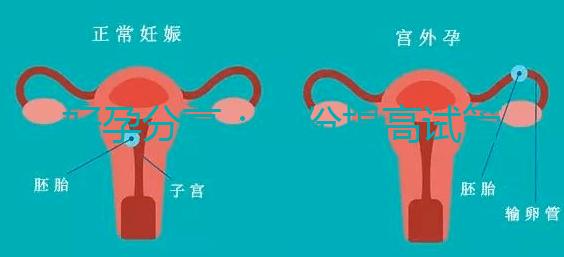 好孕分享：這份提高試管移植著床率的偏方快收藏！全是干貨