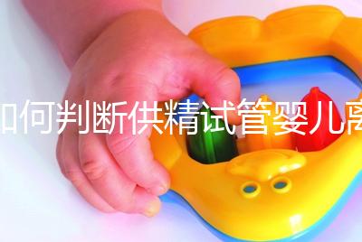 如何判斷供精試管嬰兒離婚，會不會一目了然地判給女方？