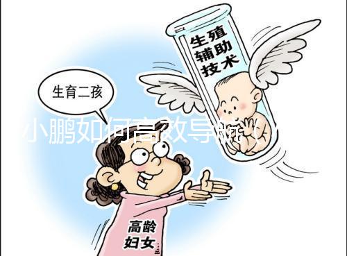 小鵬如何高效導航（小鵬如何高效導航定位）