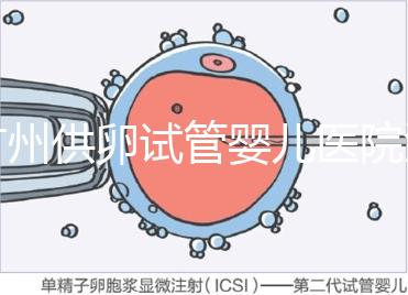 廣州供卵試管嬰兒醫(yī)院匯總，真實案例告訴你廣東哪家最好