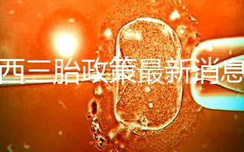 廣西三胎政策最新消息解讀，2024桂北滿足條件可申請獎勵