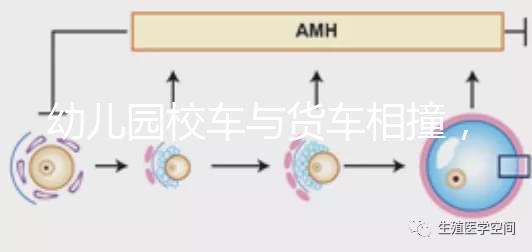 幼兒園校車與貨車相撞，乘坐校車要告訴寶寶注意事項！