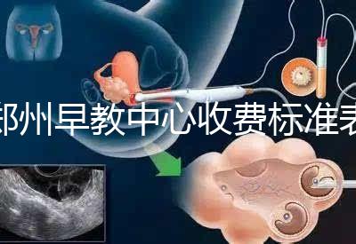 鄭州早教中心收費標準表2024年，不同項目價格不同