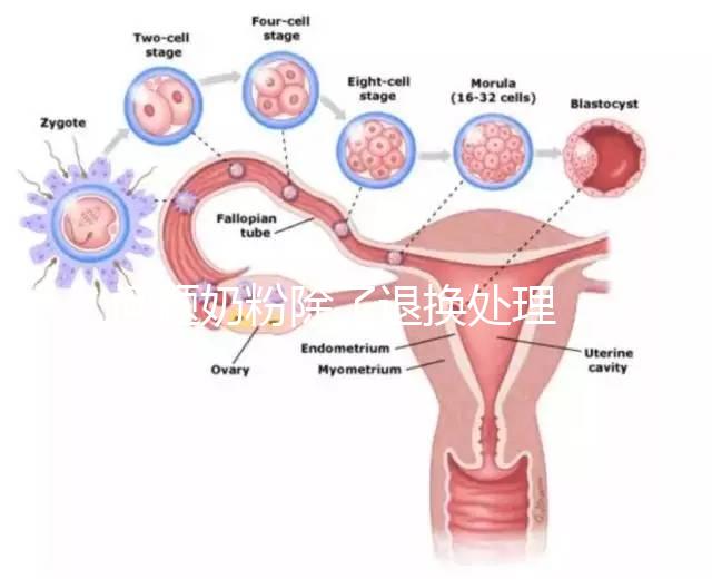 問(wèn)題奶粉除了退換處理，還可要求十倍標(biāo)準(zhǔn)的賠償金