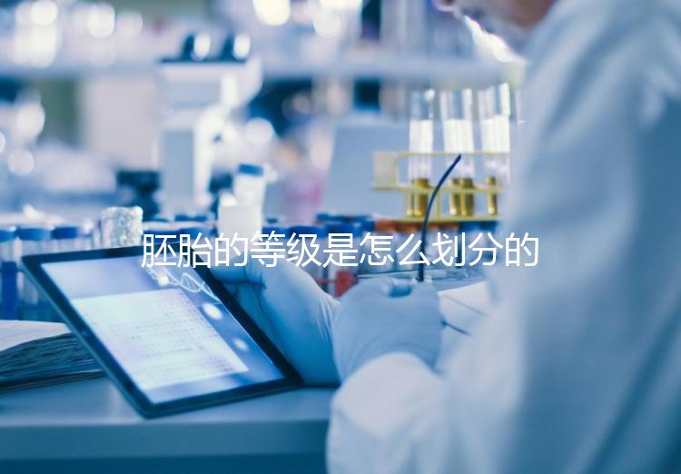 胚胎的等級(jí)是怎么劃分的？詳解3天胚胎與5天囊胚的評(píng)估標(biāo)準(zhǔn)