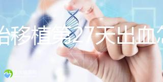 胚胎移植第27天出血怎么辦?6大常見原因見招拆招