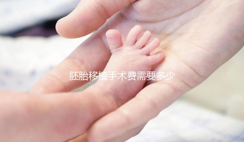 胚胎移植手術(shù)費(fèi)需要多少錢？