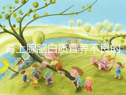 腎上腺腦白質(zhì)營養(yǎng)不良的遺傳概率,如何避免遺傳?