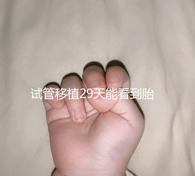 試管移植29天能看到胎心嗎？B超還能看孕囊大小和胎心
