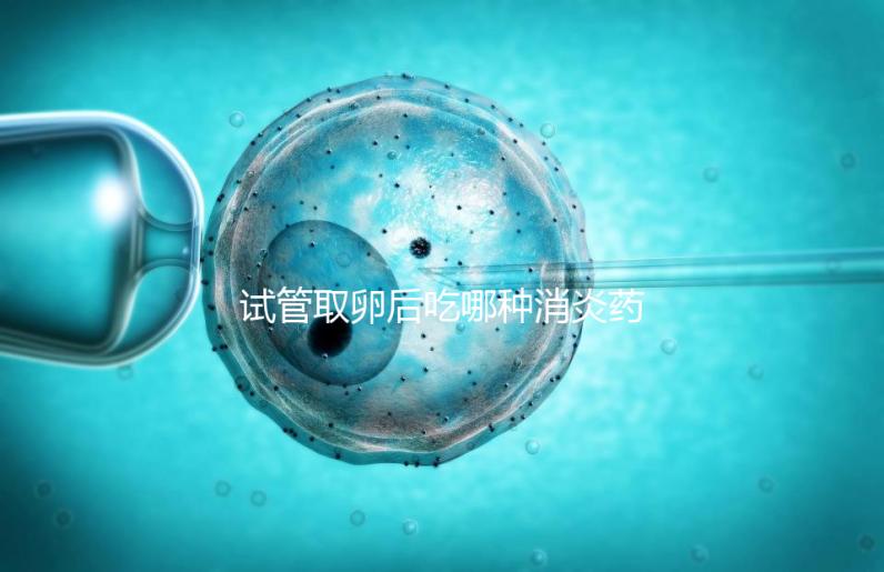 試管取卵后吃哪種消炎藥？婦科炎癥常用這6種藥物
