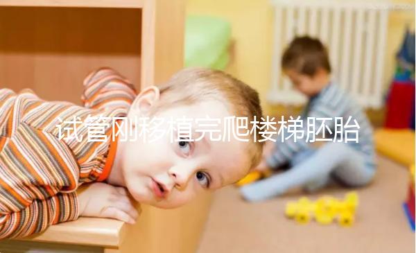 試管剛移植完爬樓梯胚胎會(huì)掉出來是謠言！這3大影響了解下