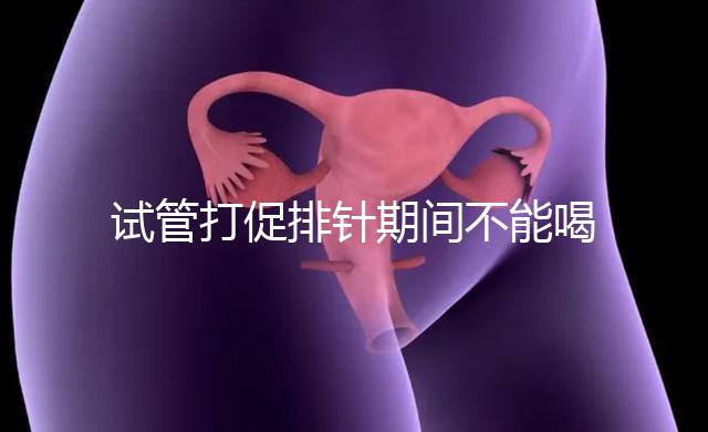 試管打促排針期間不能喝酵素減肥？把控好時(shí)間就行