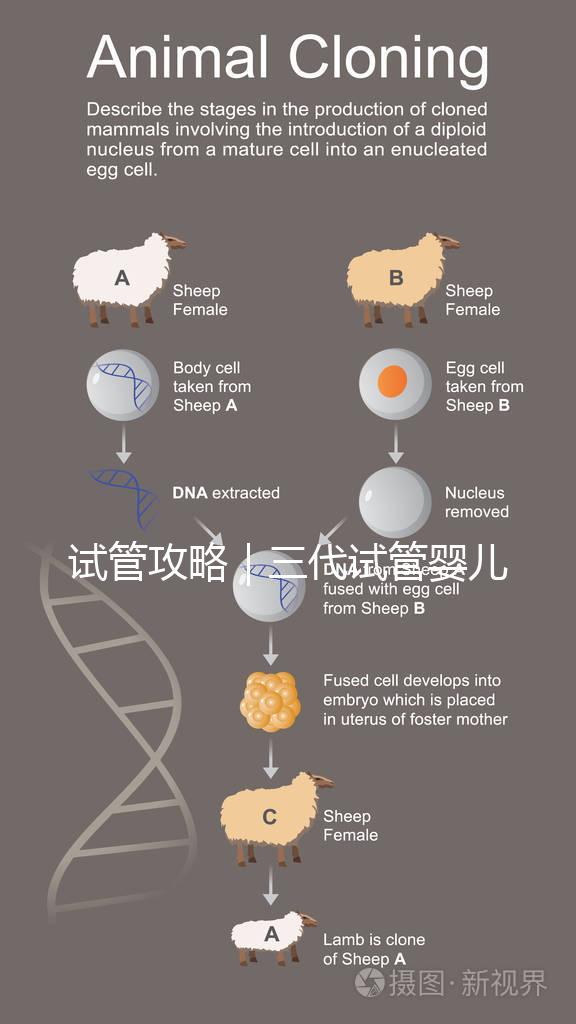 試管攻略|三代試管嬰兒流程+三代試管時間