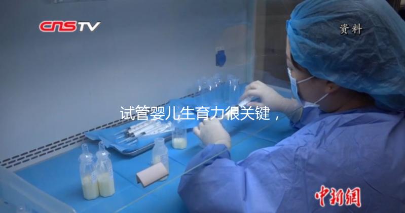 試管嬰兒生育力很關鍵，4個方面評估好不好？