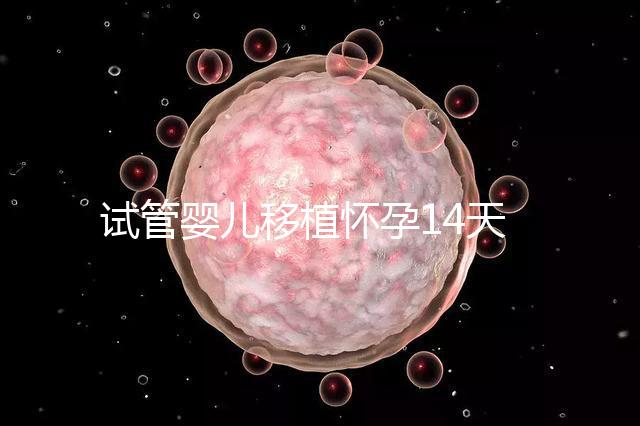 試管嬰兒移植懷孕14天，還能吃巧克力餅干嗎？