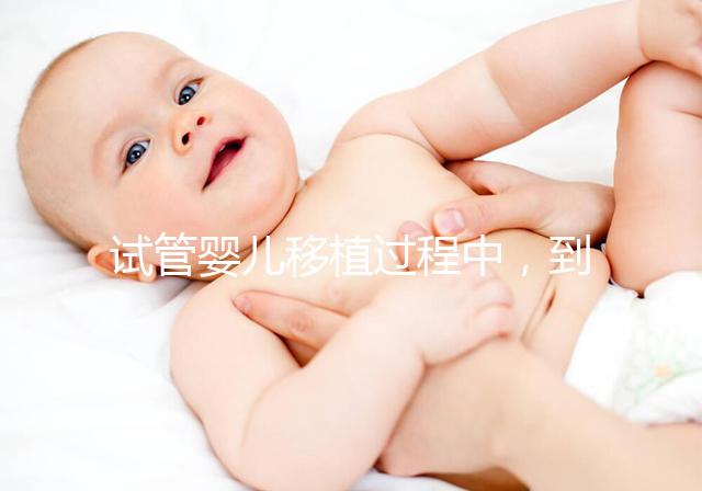 試管嬰兒移植過程中，到底是囊胚好還是鮮胚好？