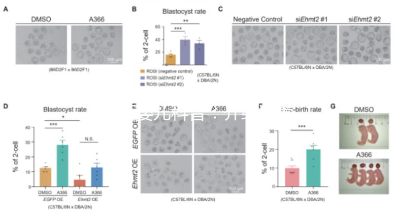 試管嬰兒科普:介紹試管嬰兒的基本概念、原理、分類、適應癥、優勢等
