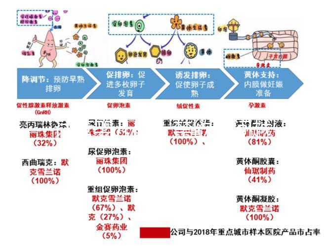試管嬰兒前，禁欲時(shí)間越長，精子質(zhì)量越好嗎？