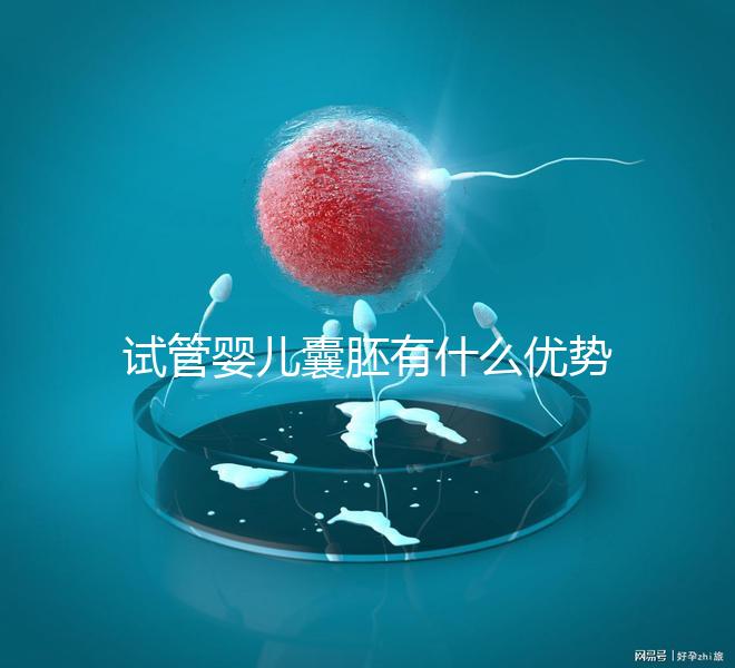 試管嬰兒囊胚有什么優(yōu)勢嗎？