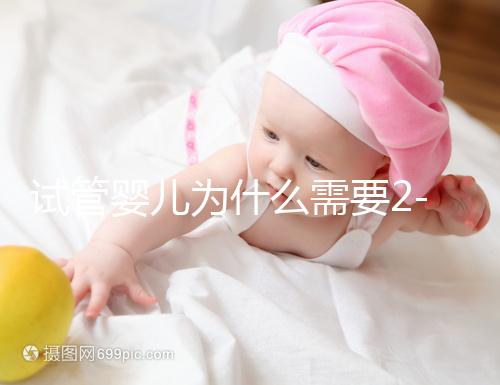 試管嬰兒為什么需要2-3個(gè)月?揭秘時(shí)間背后的科學(xué)奧秘