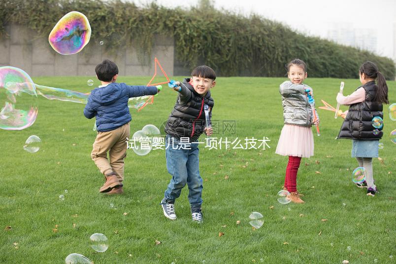 試管嬰兒是一項什么技術？