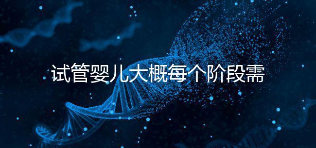 試管嬰兒大概每個(gè)階段需要花到多少錢呢？