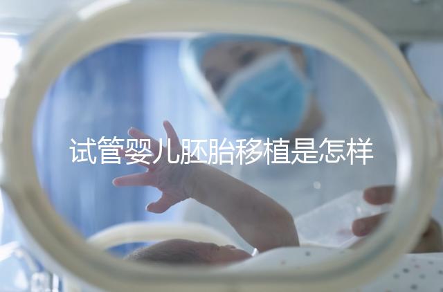 試管嬰兒胚胎移植是怎樣的過程？