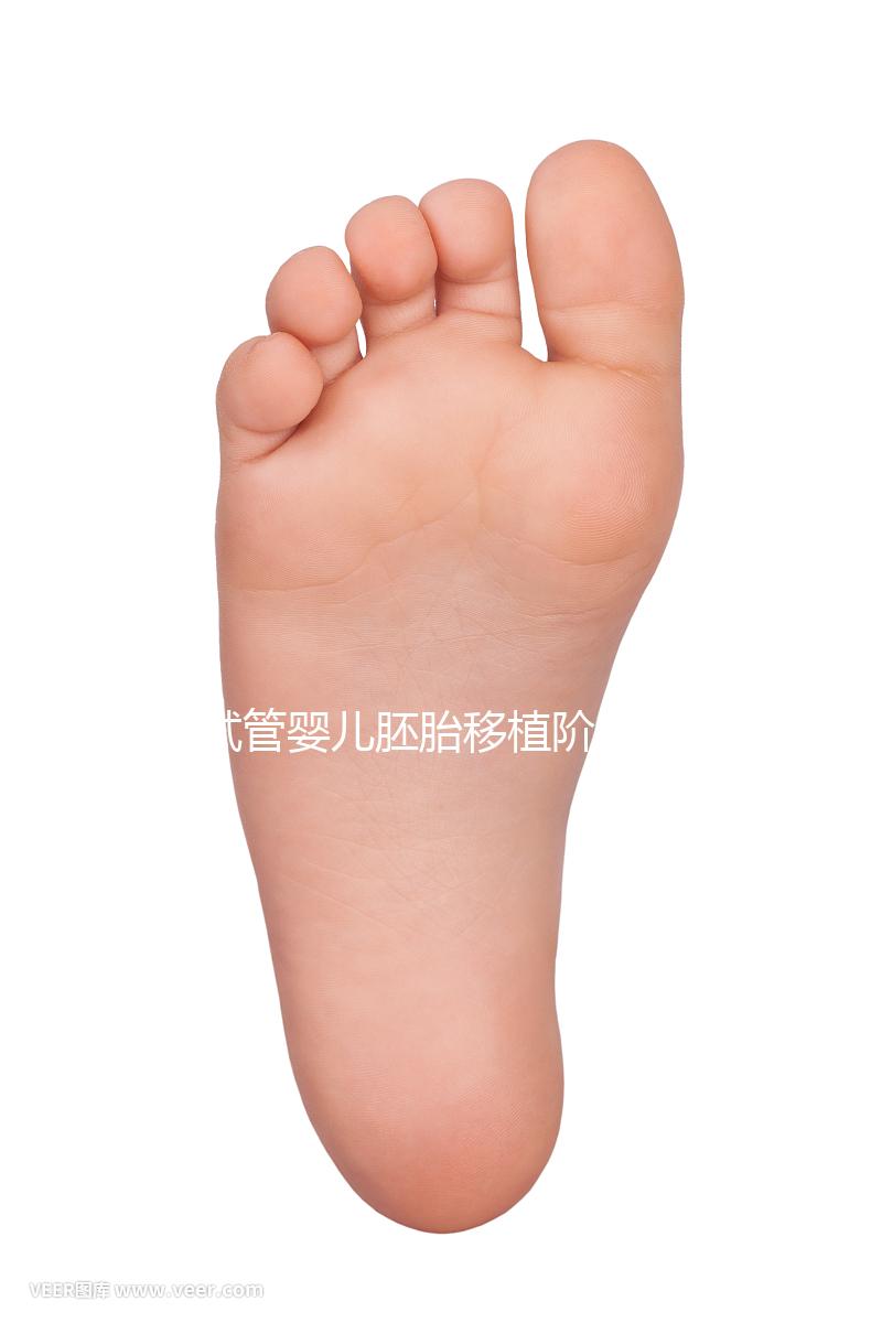 試管嬰兒胚胎移植階段需要具備哪些條件？