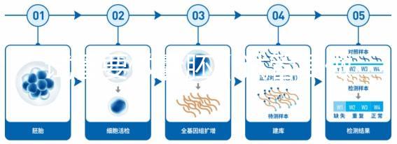 試管要做囊胚（試管要做囊胚嗎）