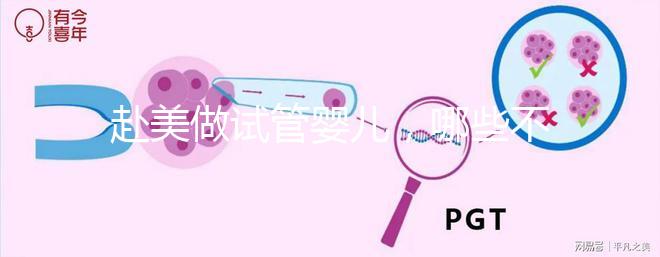 赴美做試管嬰兒，哪些不孕類問題更容易成功？