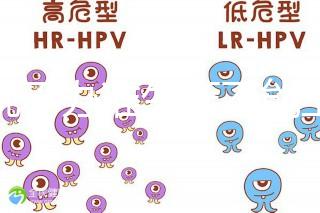 誰說不辦準生證不能上戶，2020年生育新政策了解下！
