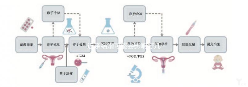 近親結婚可能會影響好幾代人，危害你真的承受不起！