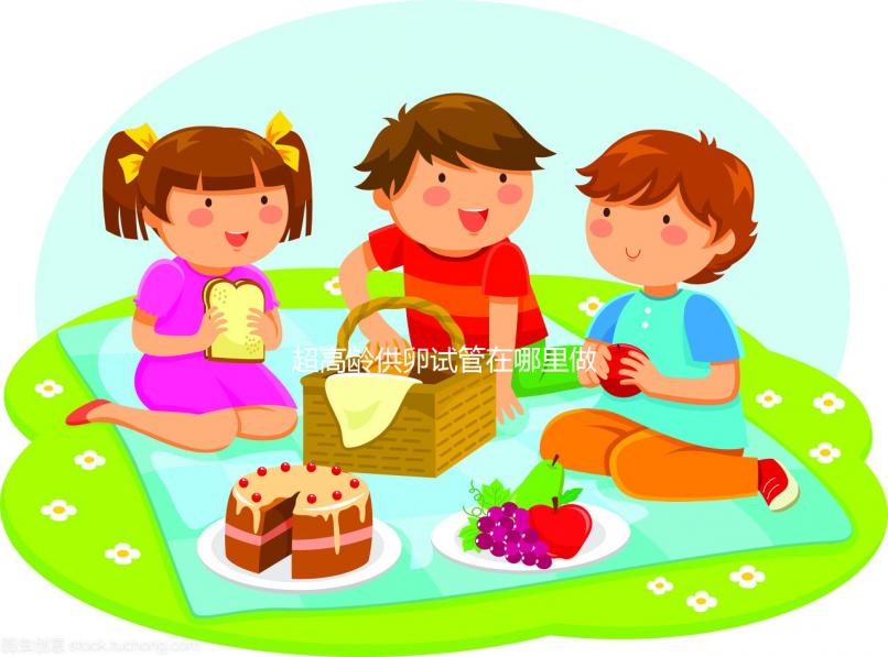 超高齡供卵試管在哪里做？泰國or馬來西亞不合法別被騙