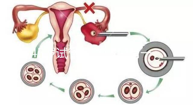 45歲試管促排卵只有一個(gè)卵泡不正常別數(shù)了我該怎么辦？