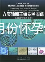 40歲幾月份懷孕生男孩？你想要的答案在生男生女清宮圖
