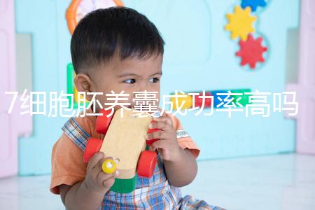 7細(xì)胞胚養(yǎng)囊成功率高嗎？聽(tīng)聽(tīng)做過(guò)試管的姐妹怎么說(shuō)