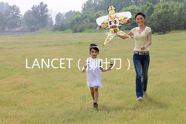 LANCET（柳葉刀）發表中國學者最新研究成果：“第二代試管嬰兒”技術并不能顯著提高子代活產率醫藥新聞