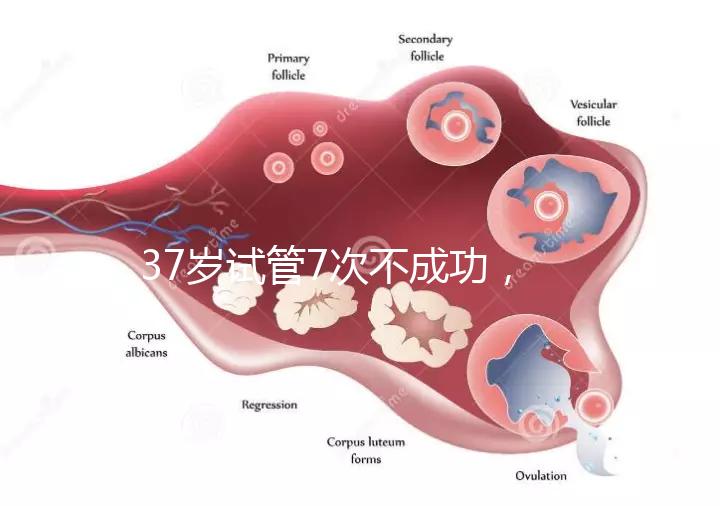 37歲試管7次不成功，關(guān)于反復(fù)移植失敗這些你得了解！