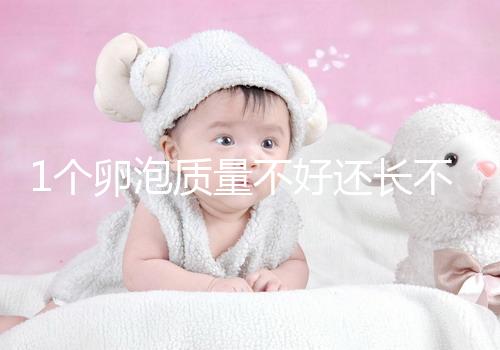 1個卵泡質量不好還長不大，如何提高試管嬰兒懷孕成功率？