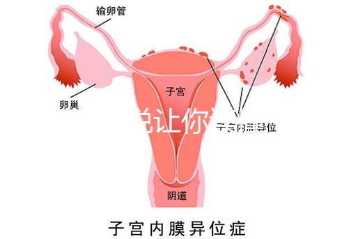 1分鐘解說讓你讀懂，排卵試紙白板一根線等各個反應