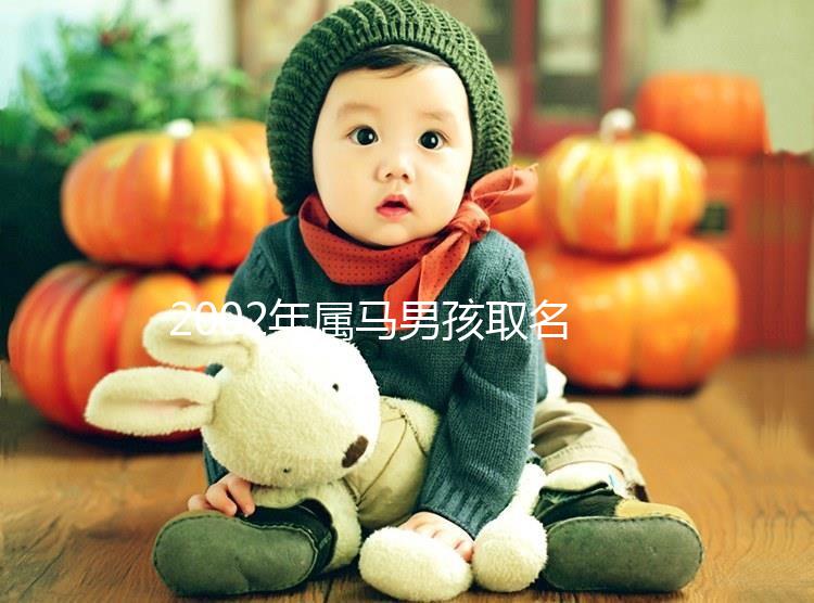 2002年屬馬男孩取名，經(jīng)典又大氣