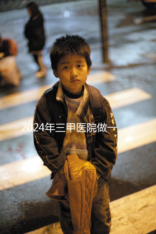 2024年三甲醫(yī)院做一次試管嬰兒需要多少錢？