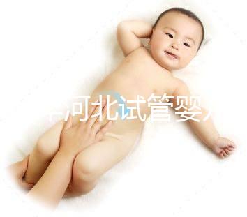 2024年河北試管嬰兒費(fèi)用可以報(bào)銷嗎？補(bǔ)貼金額真的那么大？