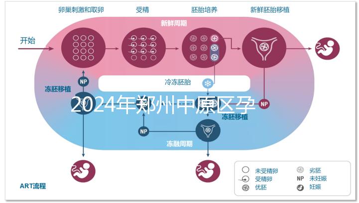 2024年鄭州中原區孕前檢查免費政策，選擇合適的醫院可以節省數百人
