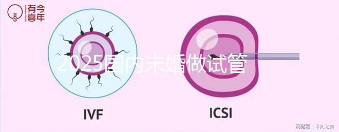 2025國內未婚做試管嬰兒的機構都是哪些？