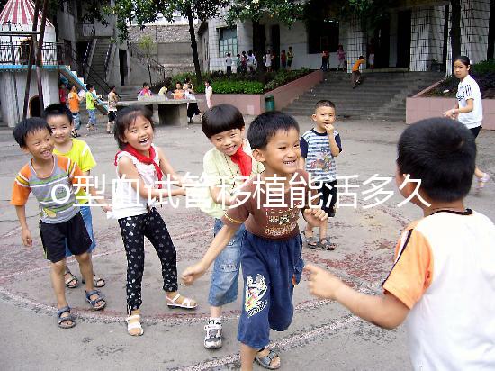 o型血試管移植能活多久？壽命長的關鍵在于這些點